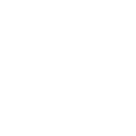 logo-festo